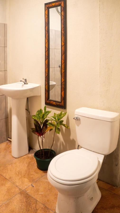 סן חוזה Eco Hotel Puerto Urbano 436 מראה חיצוני תמונה